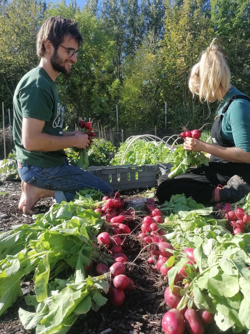 harvest alnarp ecology farm