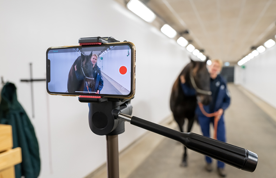 Better animal welfare with new digital measurement technology