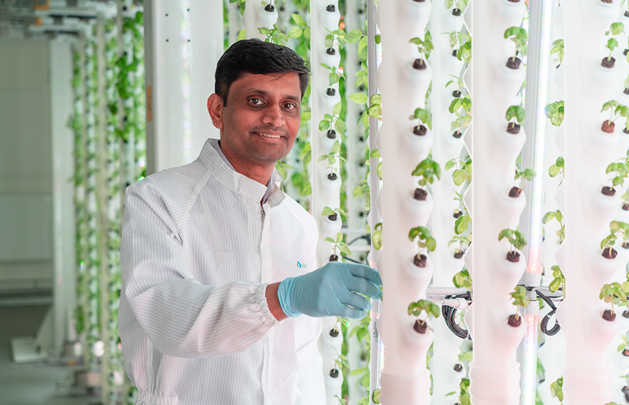 Sarosh Ramachandra. Photo: Patrik Söderberg