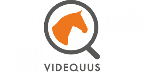 Videquus AB